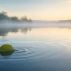 A small leaf creates gentle widening ripples across calm water at dawn, representing the positive effect of small changes.