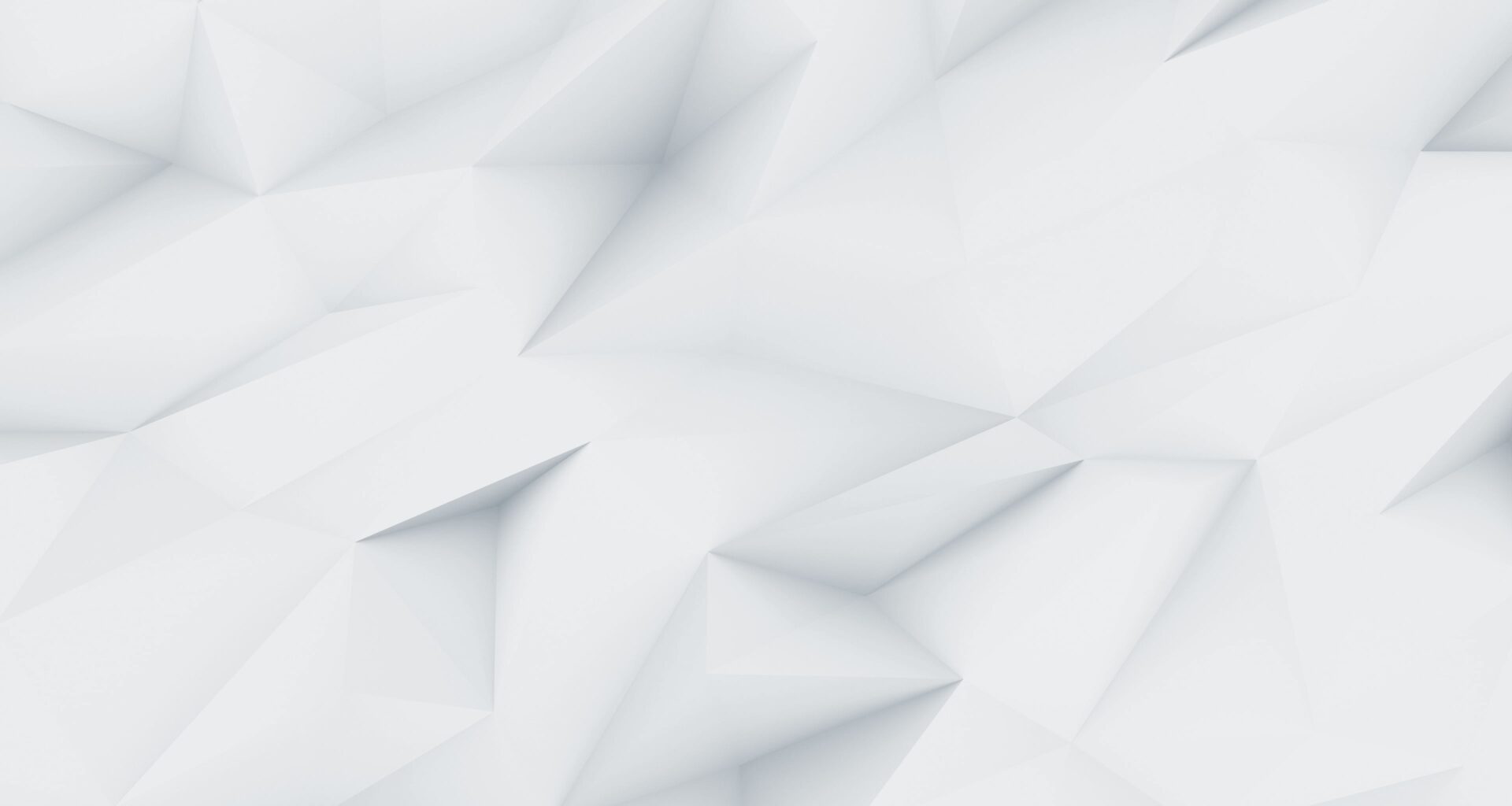 demo image 00002