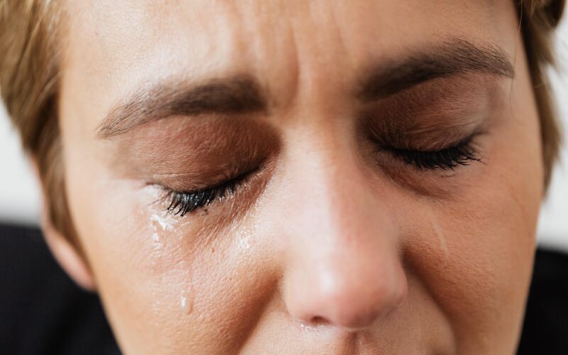 grief theories