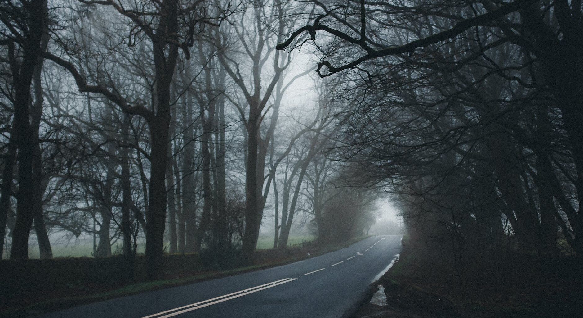 how long does grief brain fog last