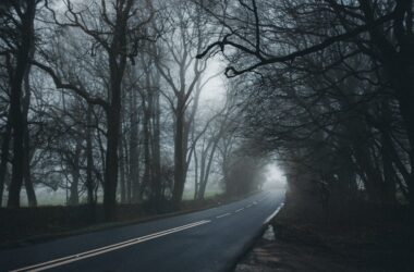how long does grief brain fog last