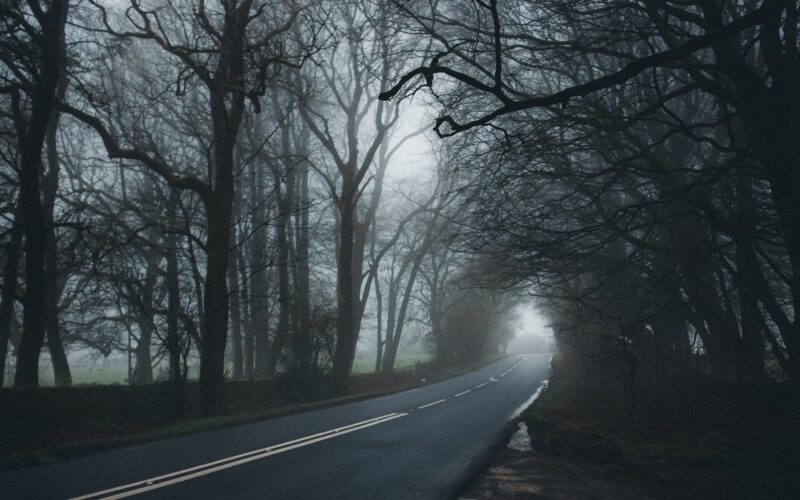 how long does grief brain fog last