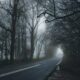 how long does grief brain fog last
