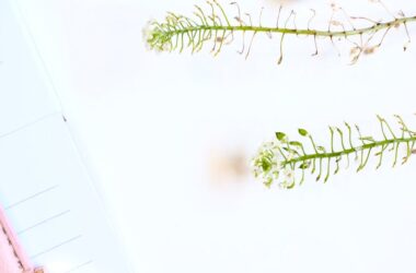 self compassion journal