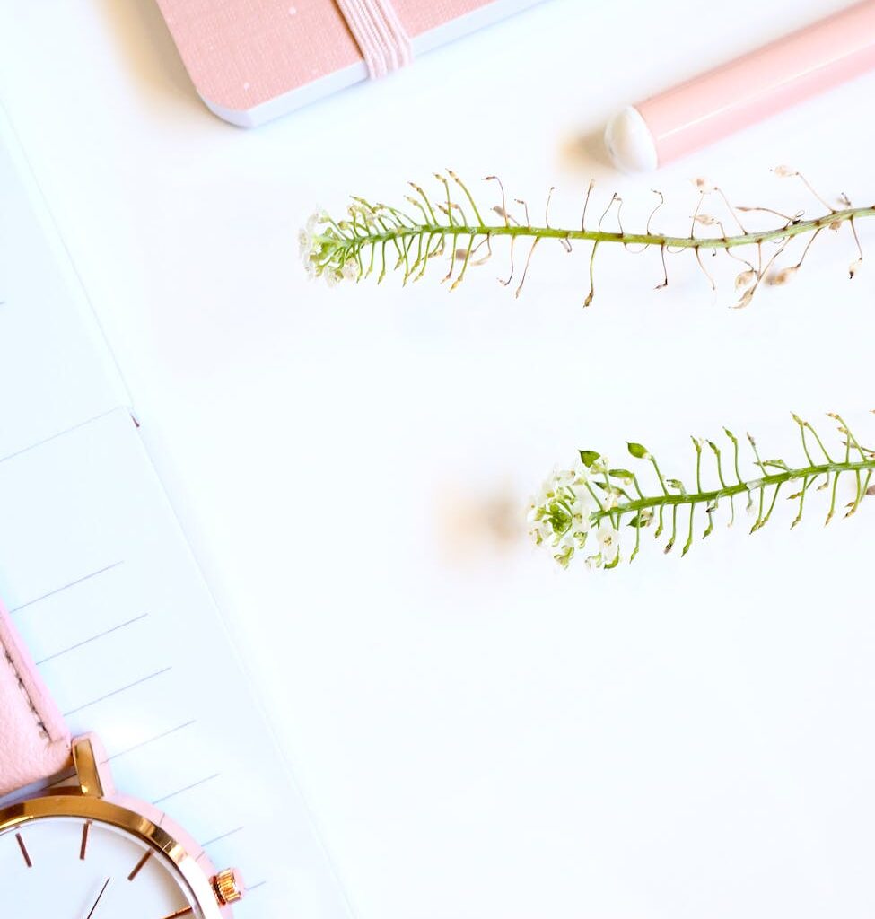 self compassion journal