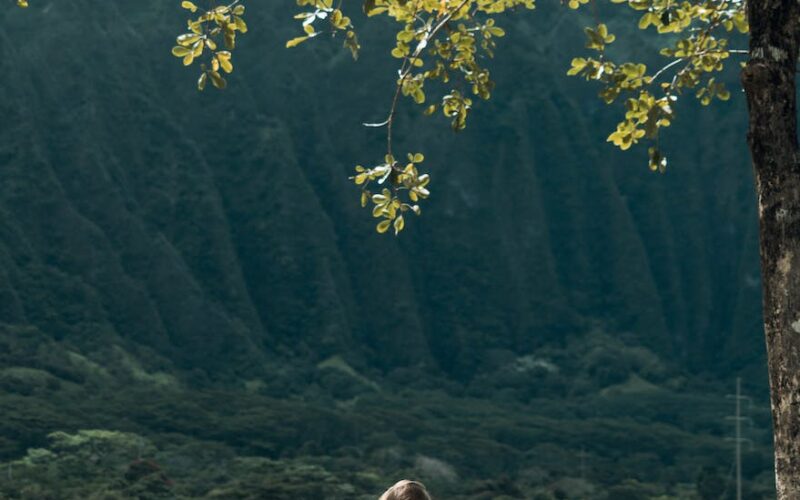 mindfulness mountain