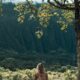 mindfulness mountain