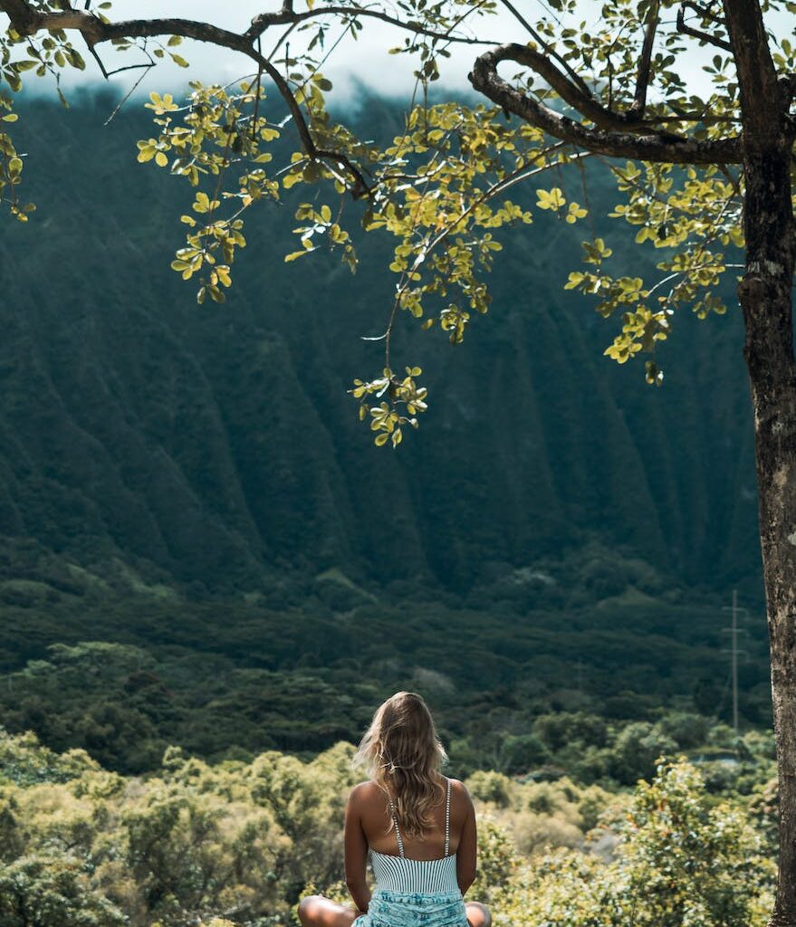 mindfulness mountain